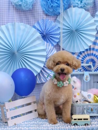 20231114ぽっきーくん